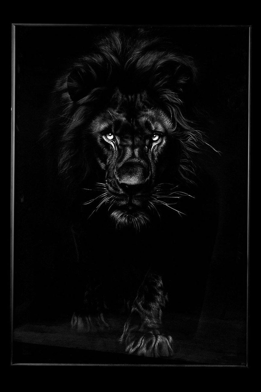 Картина lion td168