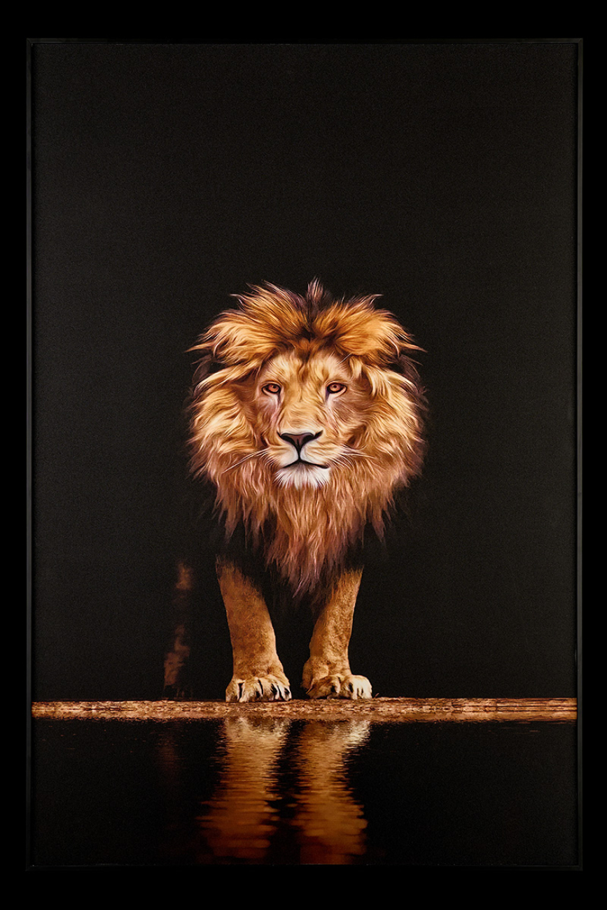 Картина lion td142