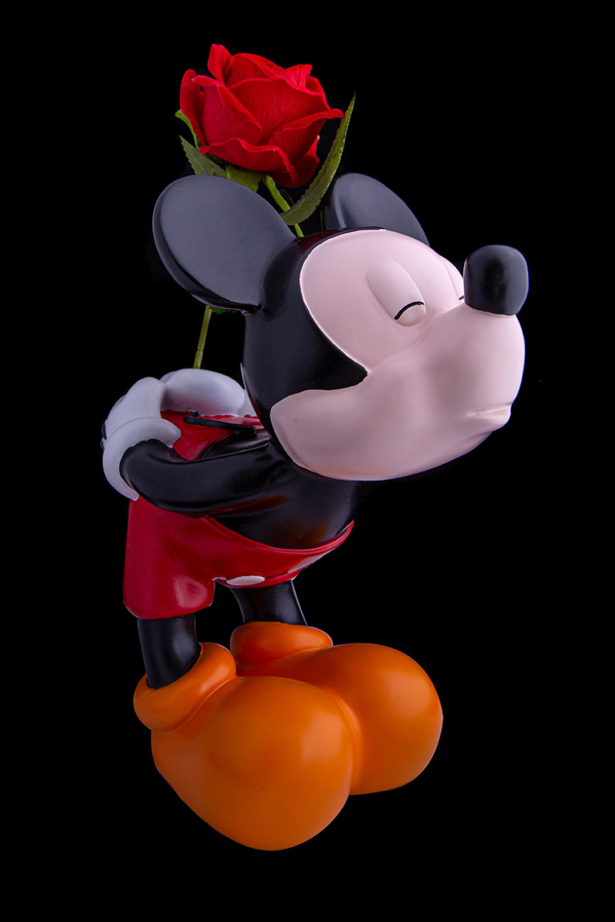 Teona decor disney td025/2