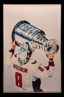 Картина Teona Decor Hockey TD234