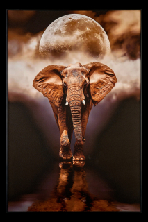 Картина Teona Decor Elephant TD105